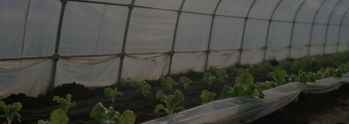 Produse chimice de uz zilnic